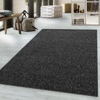 Moderner Teppich - NIZZA 1800 ANTHRAZIT